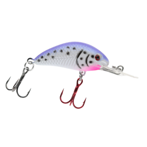 Image of Vexan Rattlin' Wasp Crankbait | Kitty Kat; 2 1/4 in.