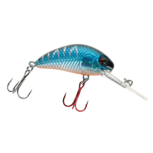 Image of Vexan Rattlin' Wasp Crankbait | Perch Goblin; 2 1/4 in.