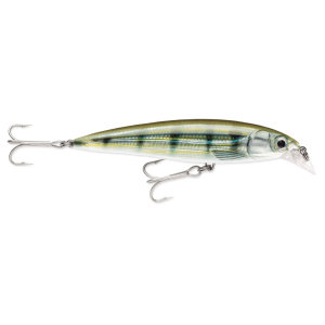 Image of Rapala X-Rap Saltwater Jerkbait | Pinfish; 5 1/2 in.