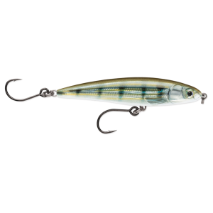 Image of Rapala X-Rap Twitchin' Minnow Twitchbait | Pinfish; 4 in.