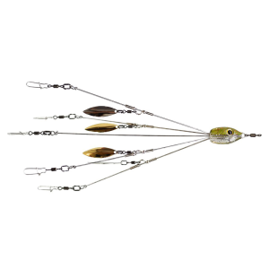 Image of Brown Dog Tackle Umbrella Rigs | Perch; Junior