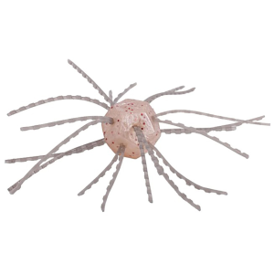 Image of Strike King Tumbleweed Dice Bait | White Sauce; Salted