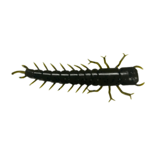Image of Case Plastics Big Kahuna Hellgrammite Soft Bait | Green Pumpkin; 4 1/2 in.