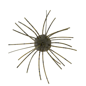 Image of Z-Man Fuzzy NuggetZ Soft Bait | Green Pumpkin; 1/2 in.