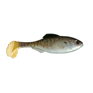 6th Sense Panorama Swimbait | Live Baby Crappie; 3.5 in.