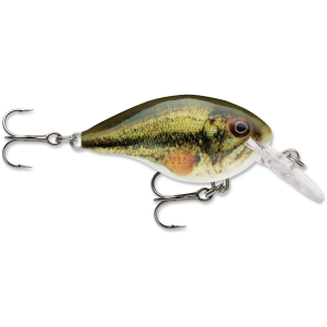 Image of Rapala DT Dives-To Crankbait | Live Largemouth Bass; 12 ft.