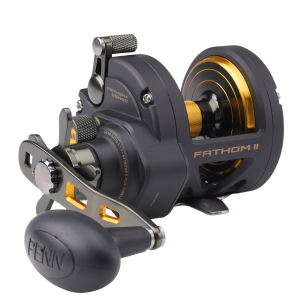 Image of Penn Fathom II Star Drag Conventional Reel | FTHII25NSD