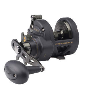 Image of Penn Fathom II Star Drag Conventional Reel | FTHII25NSDP