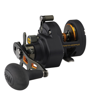 Image of Penn Fathom II Star Drag Conventional Reel | FTHII8XNSD