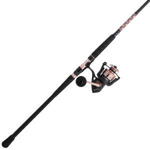 Image of Penn Passion II Spinning Combo | PASII5000701MH