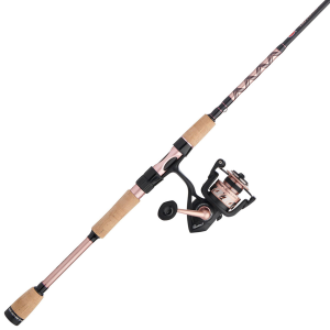 Image of Penn Passion II Spinning Combo | PASII4000701M