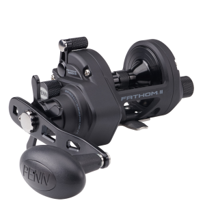 Image of Penn Fathom II Special Star Drag Conventional Reel | FTHII15SDCS