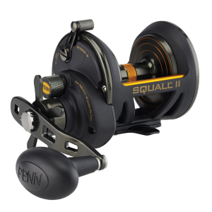 Image of Penn Squall II Star Drag Casting Reel | SQLII40SD