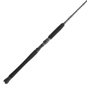 Image of Penn Carnage III Inshore Casting Rod | CARINIII1530C70