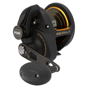 Image of Penn Squall II Lever Drag Conventional Reel | SQLII40NLDHS