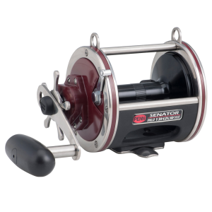Image of Penn Special Senator Star Drag Trolling Reel | 113H2LW