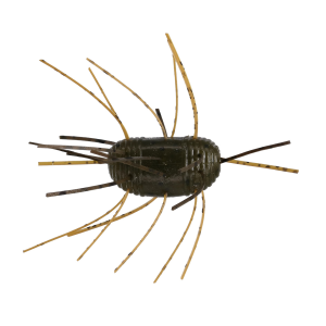 Image of Yamamoto Fuzzy Nut Soft Bait | Green Pumpkin Black Flake Orange Skirt