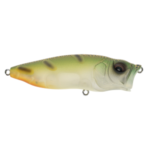 Image of Megabass Popmax Topwater Lure | CMF; 3.25 in.