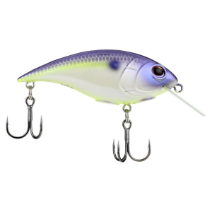 Image of Berkley Shallow Money Badger Crankbait | Purple Glimmer; 2 5/8 in.