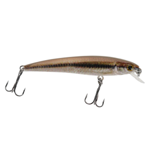 Image of Max4 Micro Minnow | Black Nose Dace; 2 in.