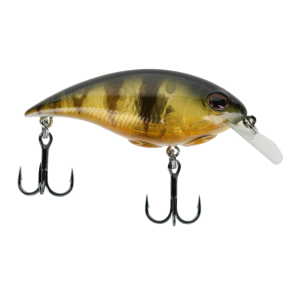 Image of Berkley Shallow Money Badger Crankbait | Perch; 2 1/4 in.