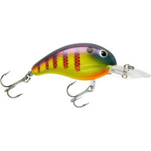 Image of Bandit 200 Series Crankbait | Viral Perch; 2 in.