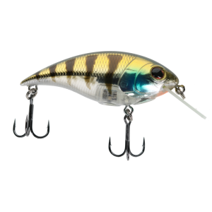 Image of Berkley Shallow Money Badger Crankbait | Ghost Chrome Gill; 2 5/8 in.