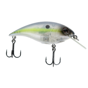 Image of Berkley Shallow Money Badger Crankbait | Ghost Sexy Shad; 2 5/8 in.