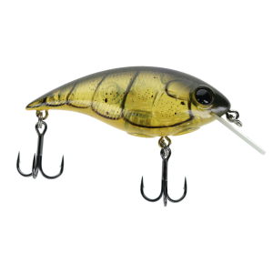 Image of Berkley Shallow Money Badger Crankbait | Phantom Craw; 2 1/4 in.