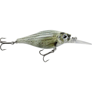 Image of Walleye Nation Creations Shaky Shad Crankbait | Custom Color - White Bass; 2 3/4 in.