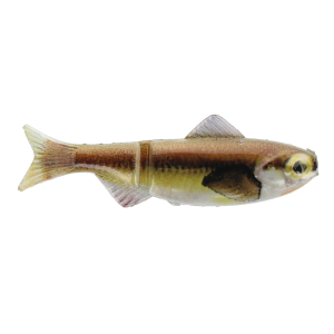 Image of Head Hunter Keystone Minnow Soft Bait | Dace; 1/8 oz.