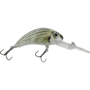 Image of Walleye Nation Creations Boogie Shad Crankbait | Custom Color - White Bass; 2 1/4 in.