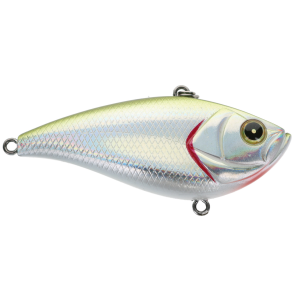 Image of Bassmooch Heavy Shaker Z Lipless Crankbait | Olive Oil; 2.6 in.