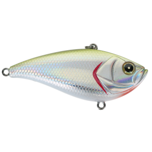 Image of Bassmooch Shaker Z Lipless Crankbait | Olive Oil; 2.6 in.