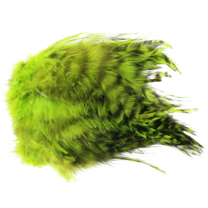 Image of Wapsi Barred Neck Hackle | Fluorescent Chartreuse