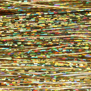 Image of Wapsi Flashabou | Holographic Gold