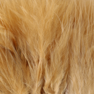 Image of Wapsi Marabou | Ginger; Strung