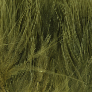 Image of Wapsi Marabou | Olive Green; Strung