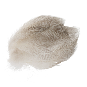 Image of Wapsi Mallard Flank Feathers - Large Select | Natural