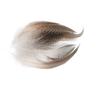 Image of Wapsi Gadwall Barred Flank Feathers
