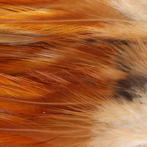 Image of Wapsi Strung Rooster Saddles | Natural Brown