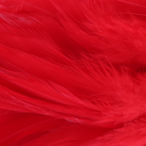 Image of Wapsi Strung Rooster Saddles | Red