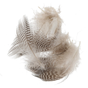 Image of Wapsi Teal Barred Flank Feathers