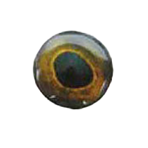 Image of Do-It Hyper HD Series 3D Eyes | Perfect Perch; 4 mm