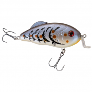 Image of Strike King Hybrid Hunter Jr. Shallow Crankbait | Blue Craw