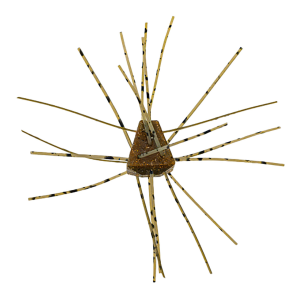 Image of X-Zone Salted GBO Dice Bait | Green Pumpkin - Black