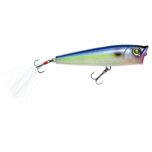 Image of Yo-Zuri 3DR-X Popper Topwater Bait | Ghost Sexy Shad; 2 5/8 in.