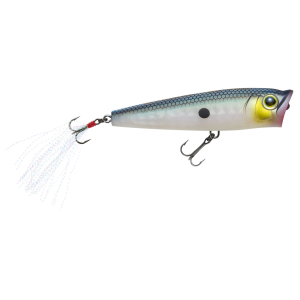 Image of Yo-Zuri 3DR-X Popper Topwater Bait | Matte Green Gizzard Shad; 2 5/8 in.