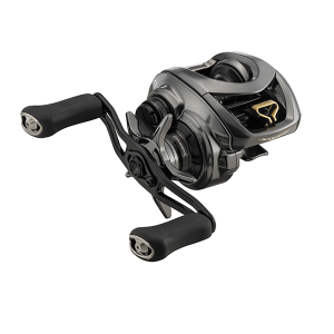 Image of Daiwa Steez CT SV TW 70 Casting Reel