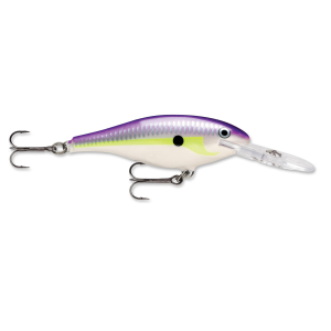 Image of Rapala Shad Rap | Regal Shad; 2 in.